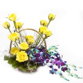10 Yellow Roses And 5 Blue Orchids Arranges Beautifully